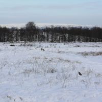 Wet Lands in Snow, Аштон-ин-Макерфилд