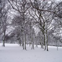 mw29 Locke Park in Winter, Барнсли