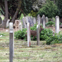 Brookwood cemetery, Басингсток