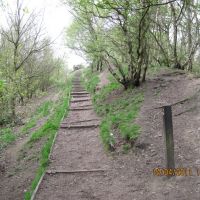 Stairway, Oakwell Hall park, April 2011, Батли