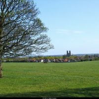 Beverley Minster from The Westwood Pasture, Beverely, East Yorkshire, Беверли
