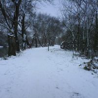 Snowy Path, Бедворт