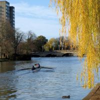 Rowing on the Ouse, Бедфорд