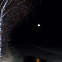 The Moon reflecting in a frozen puddle, Бистон