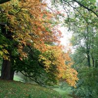 Autumn colours, Бишоп-Окленд