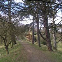 A path through the Bishops Park, Бишоп-Окленд