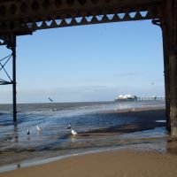 Old pier and Birds., Блэкпул