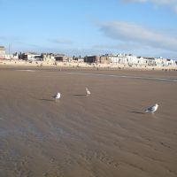 Blackpool,  Birds, tide  gone out...., Блэкпул