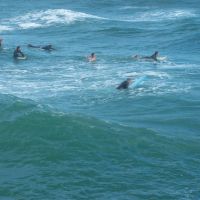 surfing just off the pier..Bournemouth..U.K., Боримут