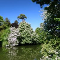 River Avon In Spring, Брадфорд