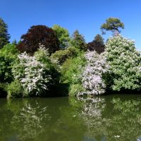 The River Avon In Spring, Брадфорд