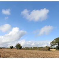 Wiltshire Panorama, Брадфорд