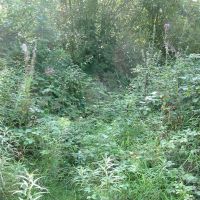 Overgrown path, Брентвуд