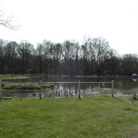Pond on Shenfield Common, Брентвуд