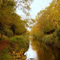 Autumn on the Canal, Бриджуотер