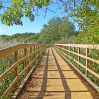 The bridge to Upton Country Park, Ватерлоо