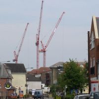 Cranes nesting on Woking rooftops, Вокинг