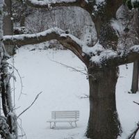 Winter bench in Tueley Lane, Годалминг