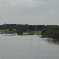 Copse Field in floods, Голборн