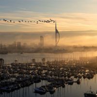 Portsmouth Spinnaker Tower  with Geese ~ the shot taken from Gosport, Госпорт