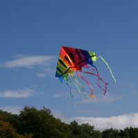 Kite in Royden Park, Грисби