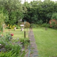 my garden, Дартфорд