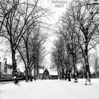 Snowbound Avenue, Дерби