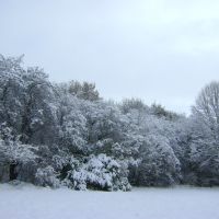 Headfield View Under November Snow., Дьюсбури
