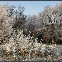 Winters frosty mantle, Кендал