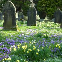 Kendal Cemetery in the Spring., Кендал