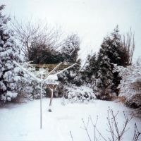Winter Snow in the Back Garden, Киркби