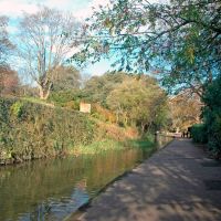 Walk between Christchurch Priory and River Avon, Кристчерч