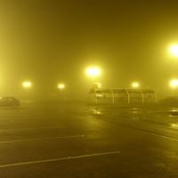Misty winters night, Крю