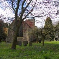 Sibson village churchyard is full of trees., Лейг