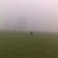foggy morning, Нортгемптон