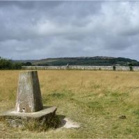 Mount Joy Triangulation Pillar (Isle of Wight), Ньюпорт