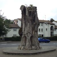 The Big Tree., Пайнтон