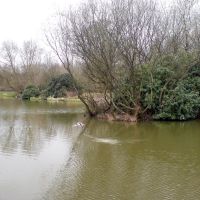 Pond at Carr Lane, Huyton, Прескот