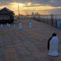 HDR of the Penguins on the Esplanade, Редкар