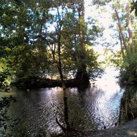 Priory Park Lake (8), Рейгейт