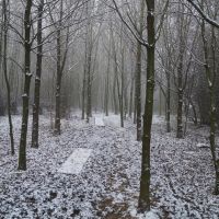 Sutton Meadow in Snow, Саттон-ин-Ашфилд