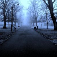 Foggy Morning in East Park, Саутгэмптон