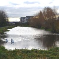 A remaining stretch of the Dearne and Dove Canal at Swinton, Свинтон