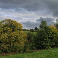 Trees and fields near Randwick, Gloucestershire UK, Строуд