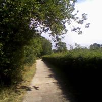 A Path in Tonbridge Sportsground (1), Тонбридж