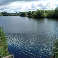 Horseshoe bend, River Tees, Thornaby, Торнаби-он-Тис