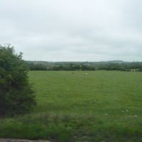 West Wiltshire : Grassy Field & Countryside, Траубридж