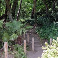 Wooded path, The Leas, Folkestone, Фолькстон