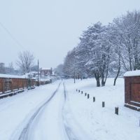Bidbury Lane in the snow, Хавант