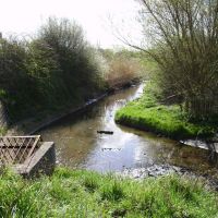manky river between middle park way and botley drive, Хавант